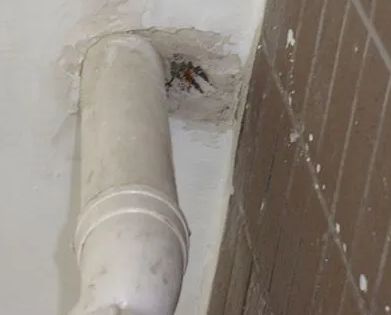 咸安漏水检测哪家好